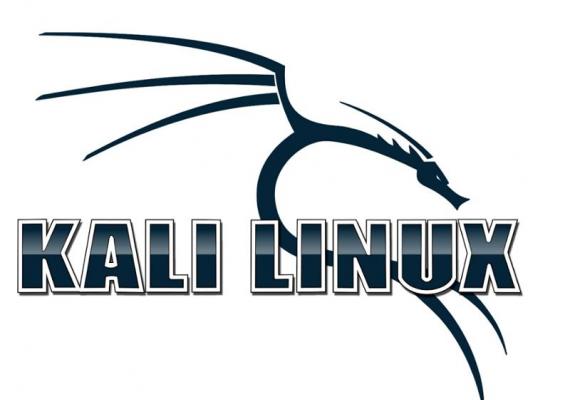 Установка Kali в качестве дополнительной операционной системы на компьютер с Windows Kali linux как вторая система